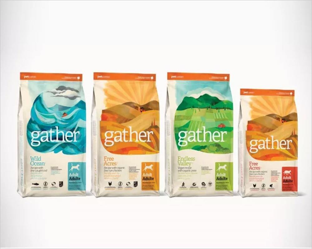 天津宠物食品进口清关指南 猫罐头及宠物食品的要点与流程